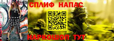 прущие грибы Ярцево