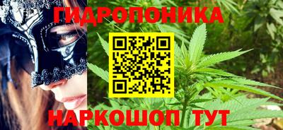 прущие грибы Ярцево