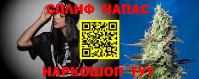 прущие грибы Ярцево