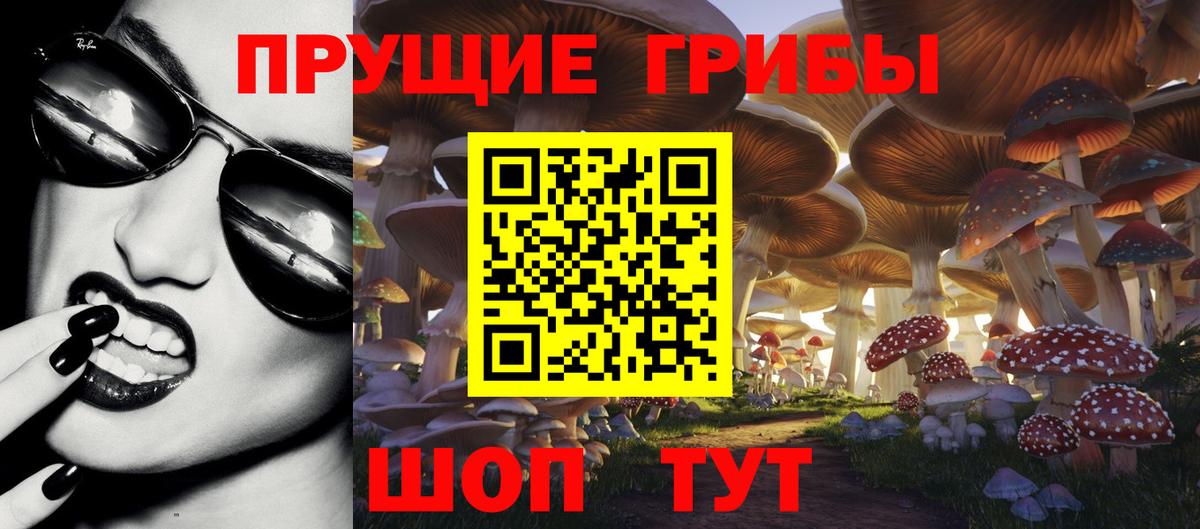 Жигулёвск  Псилоцибиновые грибы Cubensis  Вход с VPN 