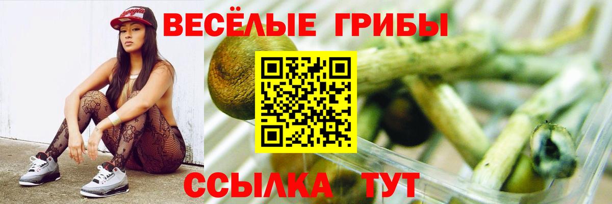 Псилоцибиновые грибы мицелий Жигулёвск